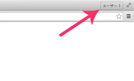 google chrome avator icon hidden_02