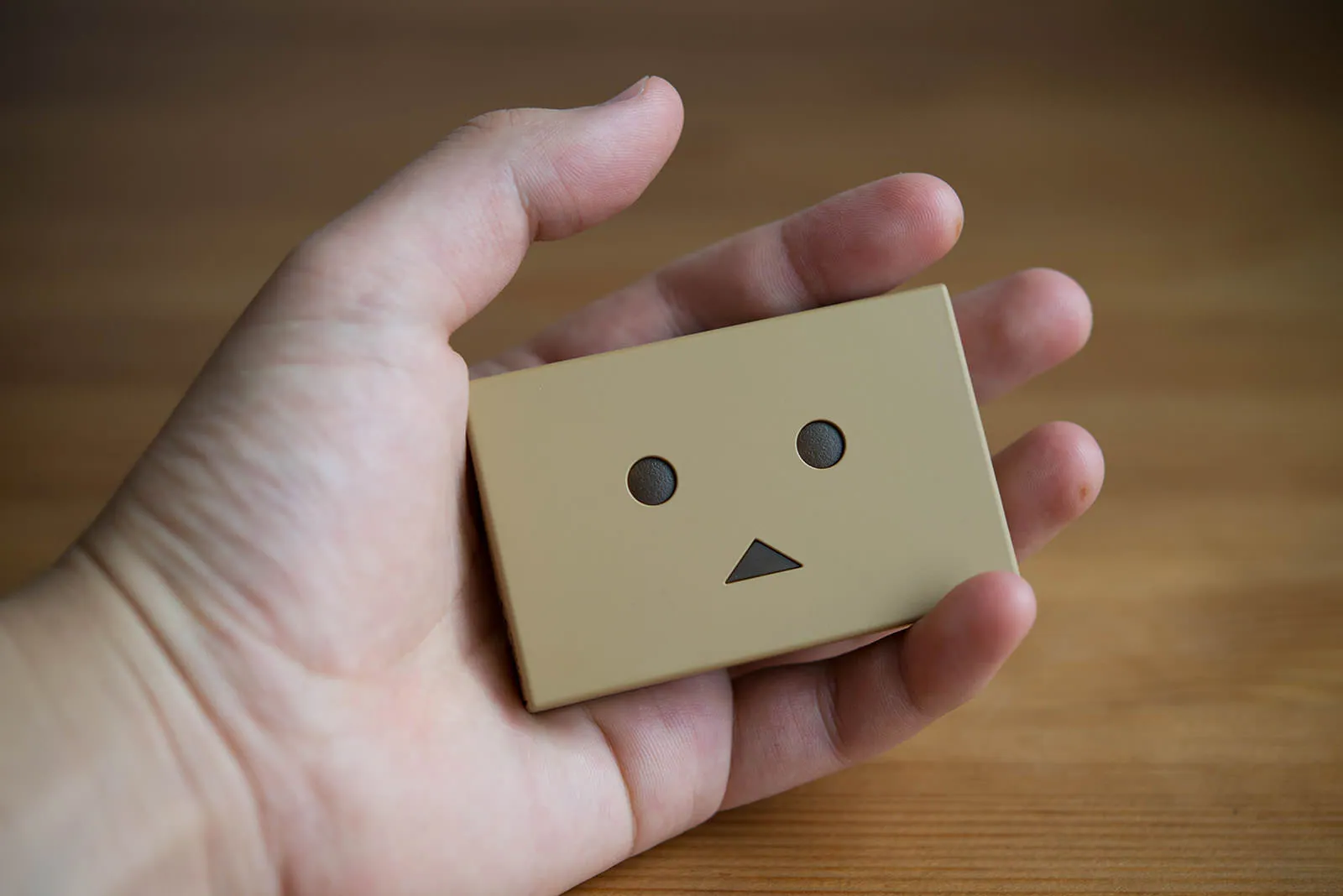 cheero Power Plus DANBOARD version block review_14