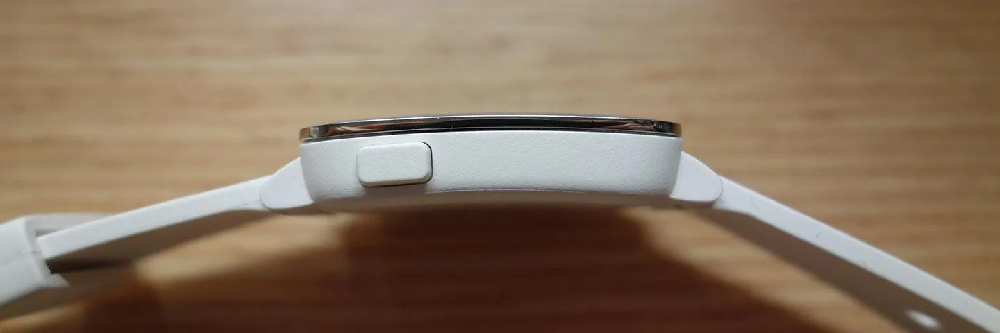 Pebble Time appearance_05