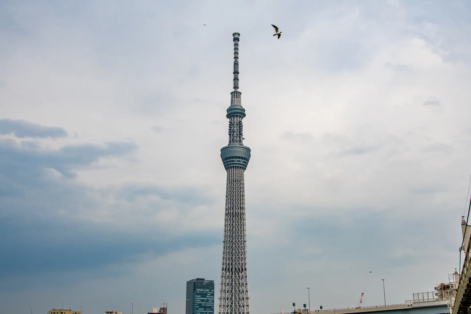 DSC_3212-HDR