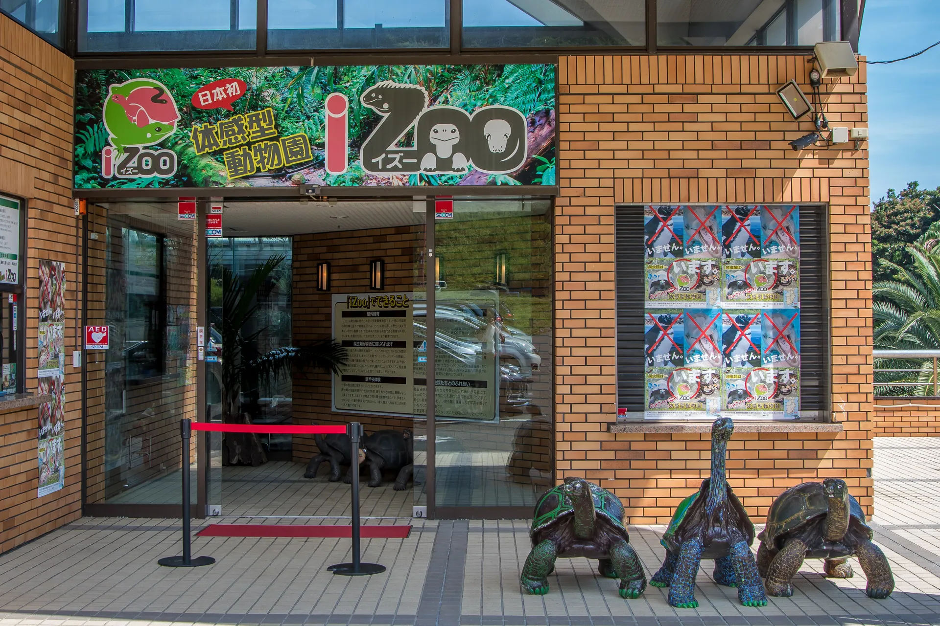 iZoo イズー 静岡 伊豆 爬虫類_3110
