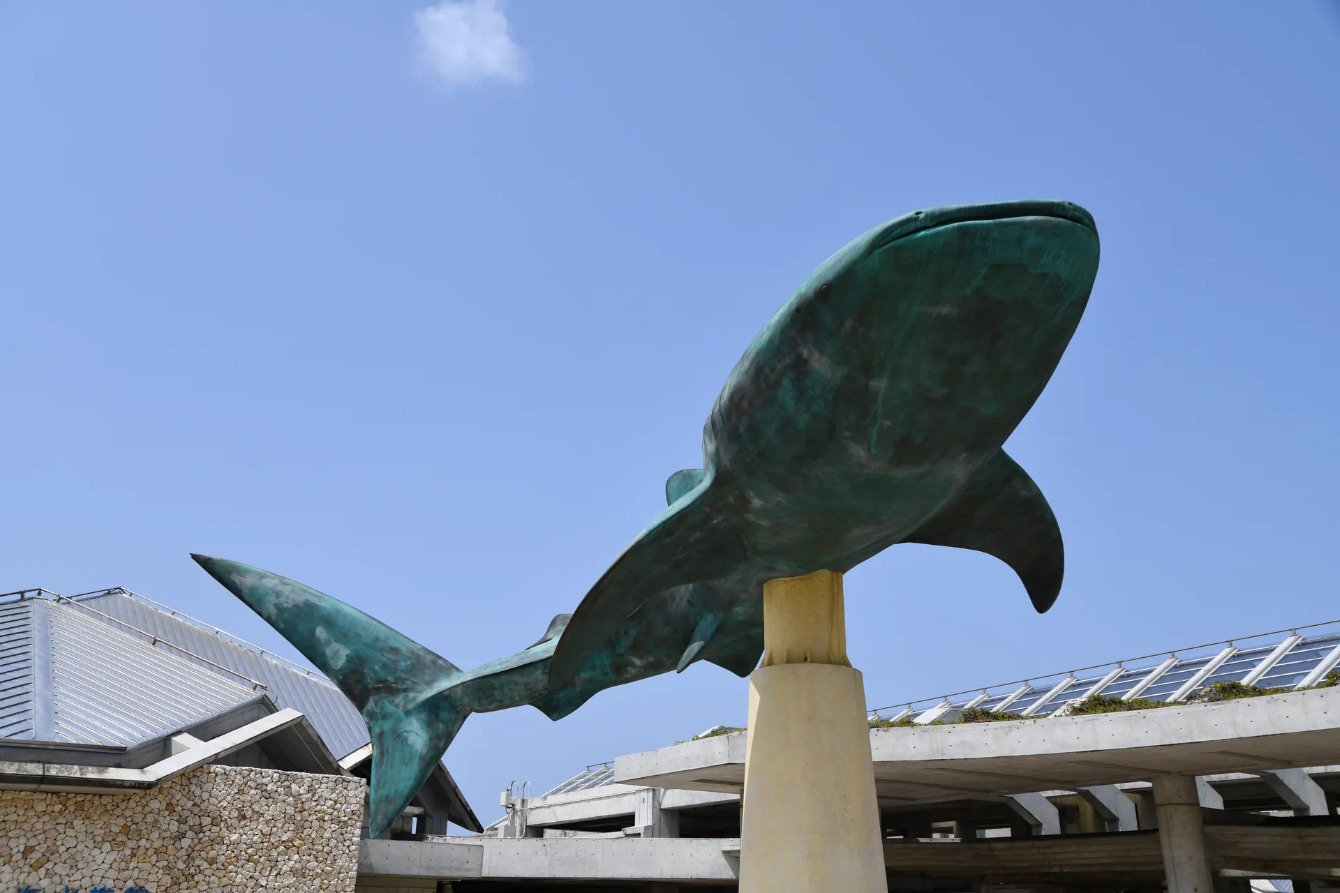 DSC_2261